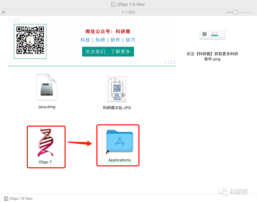 Oligo 7.6 | Mac版 | 引物设计软件 | 安装教程