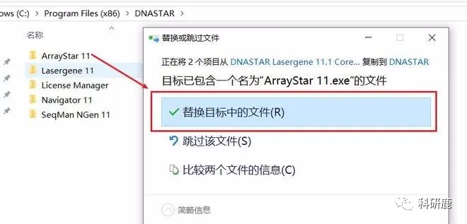 DNASTAR 11 | Win中文版 | 生物综合性序列分析软件 | 安装教程