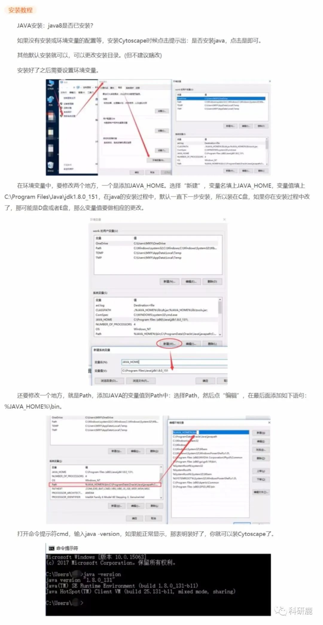 Cytoscape | Win v3.9.1 | 网络可视化和分析软件 | 安装教程