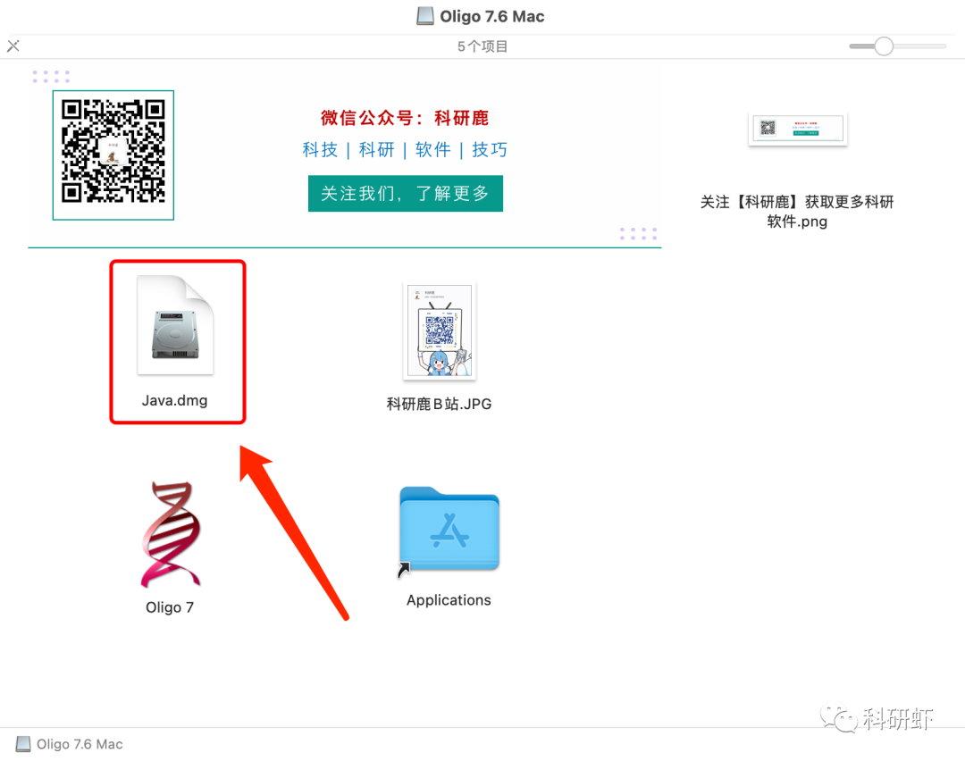 Oligo 7.6 | Mac版 | 引物设计软件 | 安装教程