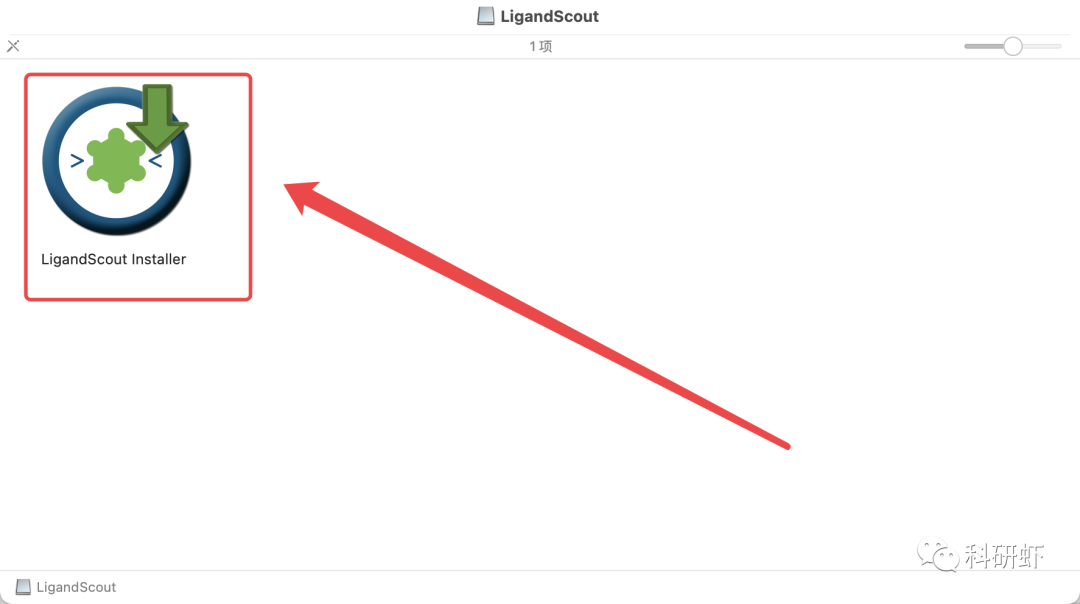 LigandScout 4.8 | Mac版 | 分子对接软件 | 安装教程