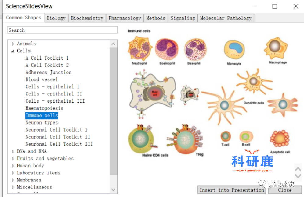 Science Slides 2016 | Win版 | PPT绘模式图神器 | 安装及下载教程