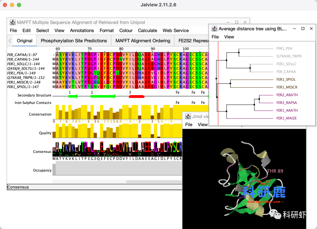 Jalview 2.11 | Mac英文版 | 多序列比对软件 | 安装教程