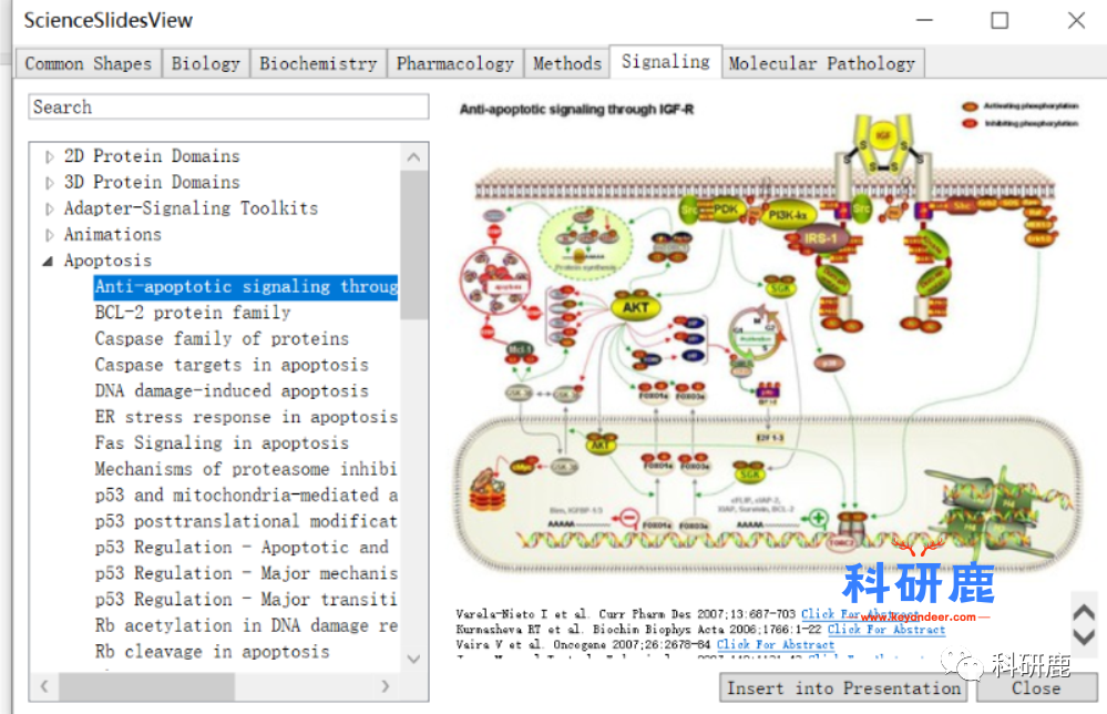 Science Slides 2016 | Win版 | PPT绘模式图神器 | 安装及下载教程