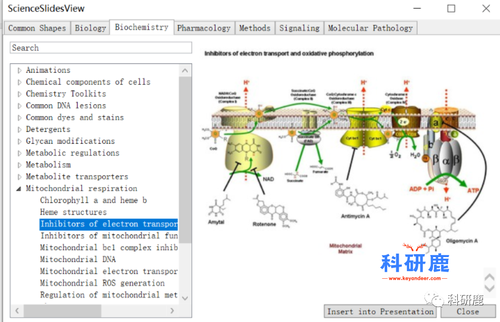 Science Slides 2016 | Win版 | PPT绘模式图神器 | 安装及下载教程